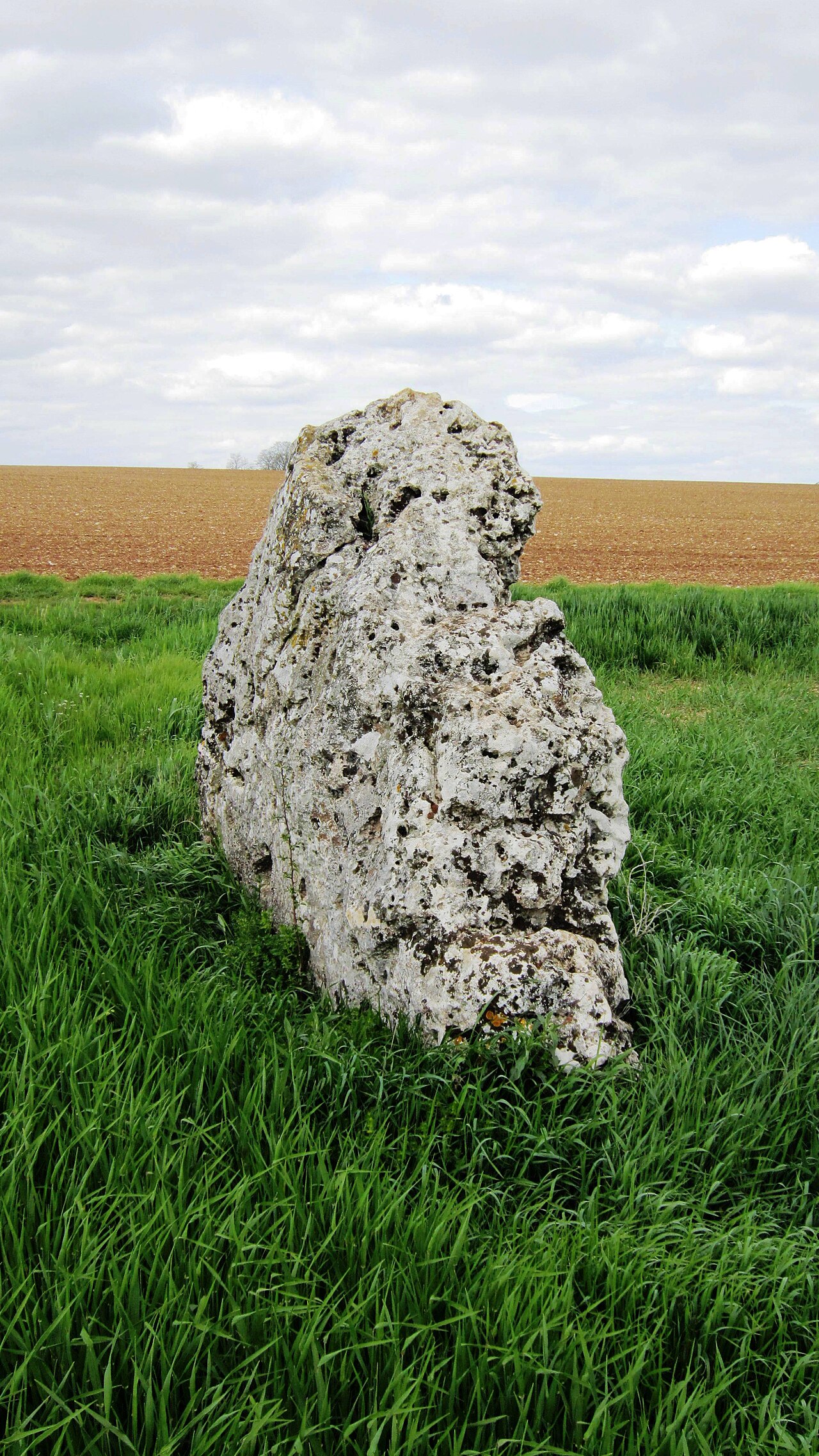 Menhir de la Grande Borne à Coulmier-le-Sec